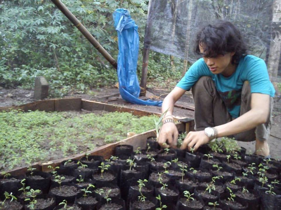 Kiprah Dreamdelion Sehat di Yogyakarta:  Bersama Membangun Desa Wisata!
